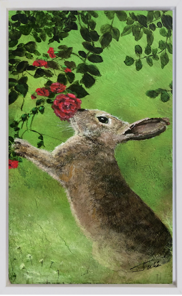 Bunny on Canvas Prints