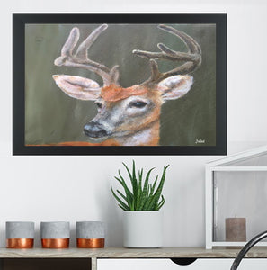 Young Buck on Canvas Prints