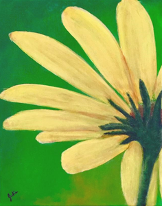 Daisy Pedals on a Metal Print
