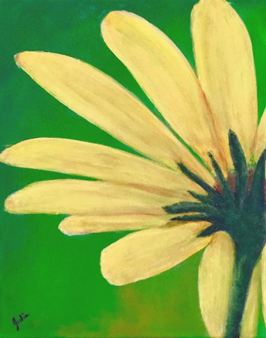Daisy Pedals on a Metal Print