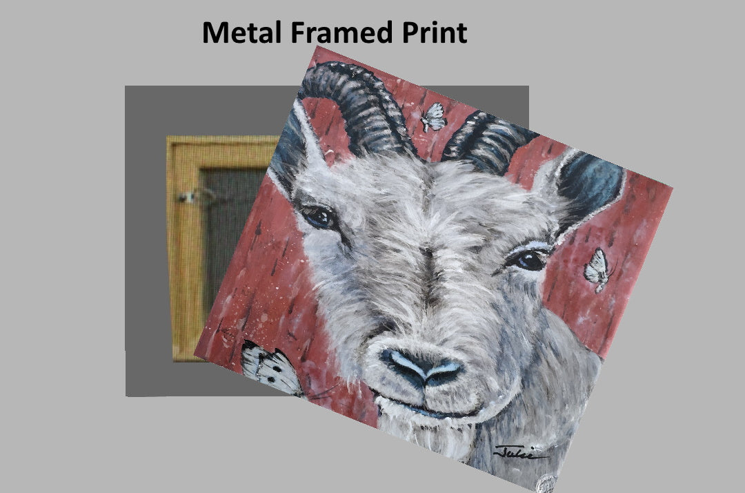 goat on a Metal Print