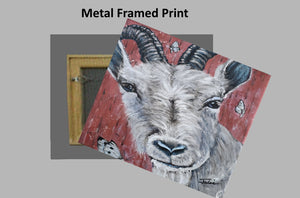 goat on a Metal Print