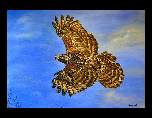 A Hawk in Flight on Canvas Prints