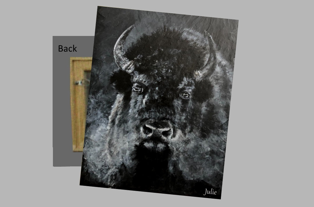 Buffalo Black on a Metal Print