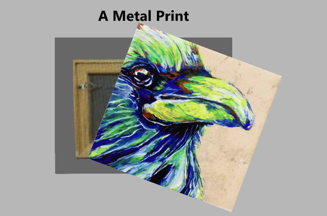 Crow on a Metal Print